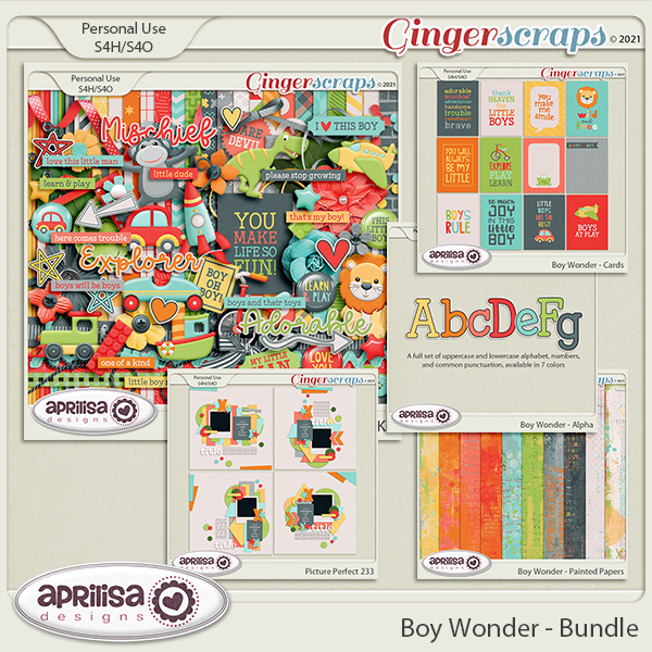Boy Wonder - Bundle by Aprilisa Designs