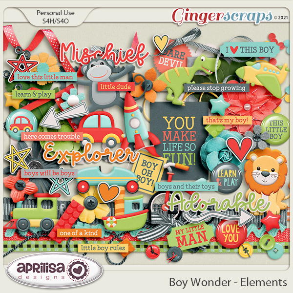 Boy Wonder - Elements Aprilisa Designs