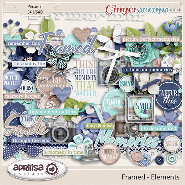 Framed - Elements by Aprilisa Designs