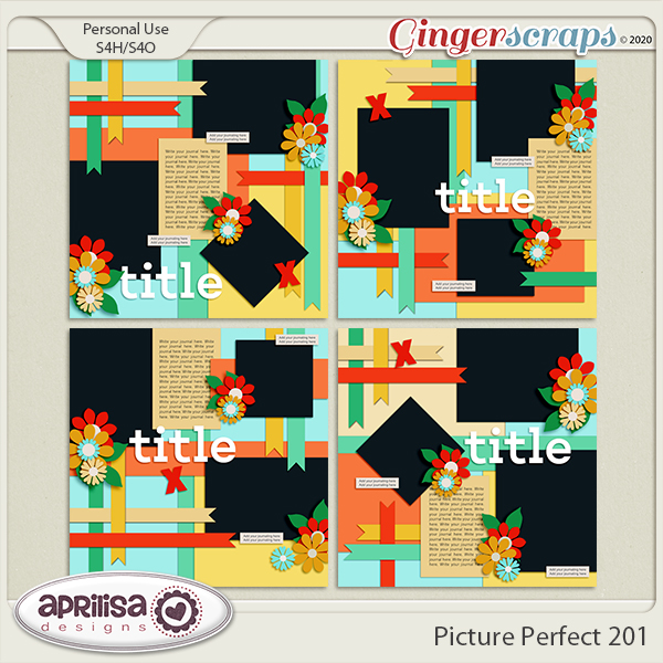 Picture Perfect 201
