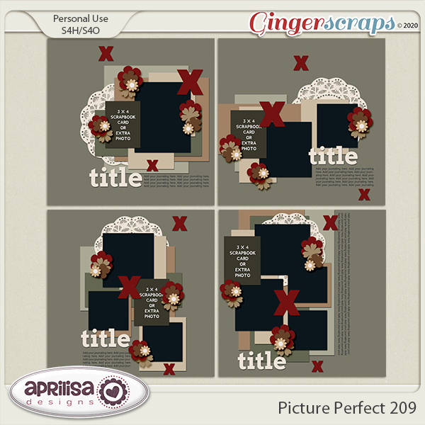 Picture Perfect 209 by Aprilisa Designs