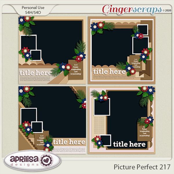 Picture Perfect 217 by Aprilisa Designs