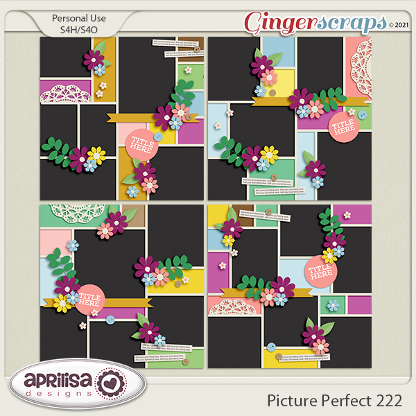 Picture Perfect 222 by AprilisaDesigns