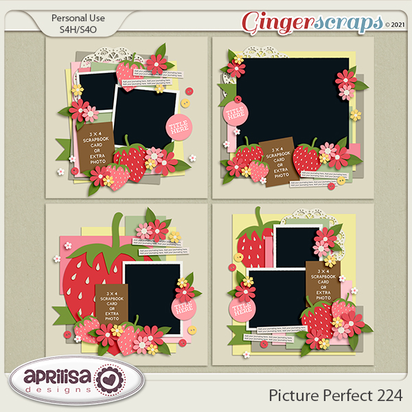 Picture Perfect 224 by Aprilisa Designs