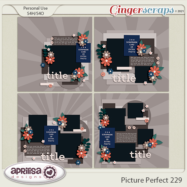 Picture Perfect 229 by Aprilisa Designs