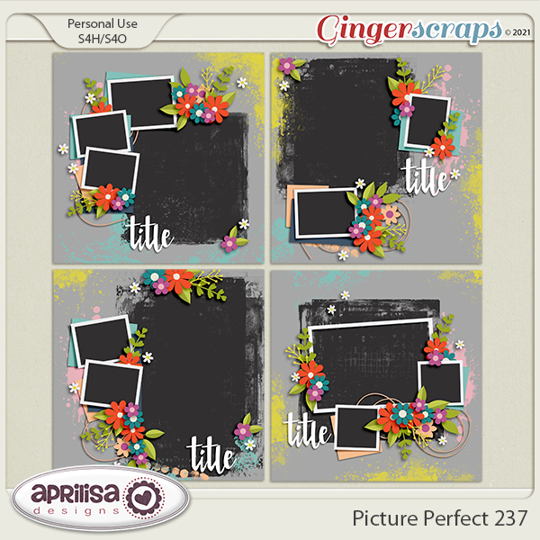 Picture Perfect 237 by Aprilisa Designs