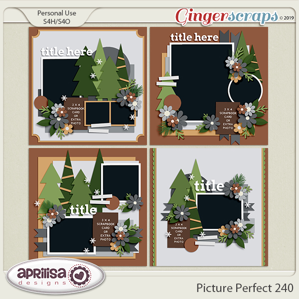 Picture Perfect 240 by Aprilisa Designs