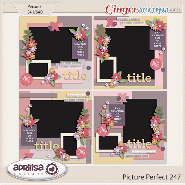 Picture Perfect 247 by Aprilisa Designs