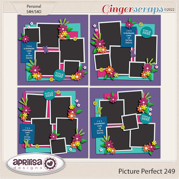 Picture Perfect 249 by Aprilisa Designs
