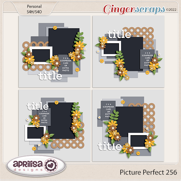 Picture Perfect 256 by Aprilisa Designs