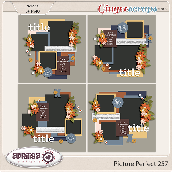 Picture Perfect 257 by Aprilisa Designs