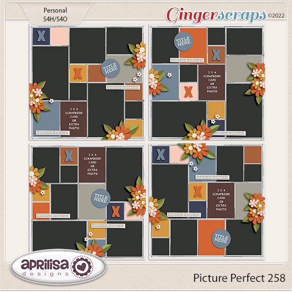 Picture Perfect 258 by Aprilisa Designs