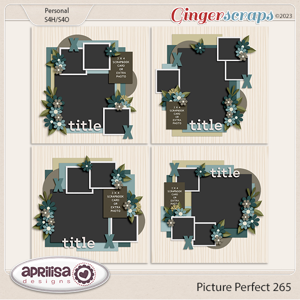 Picture Perfect 265 by Aprilisa Designs