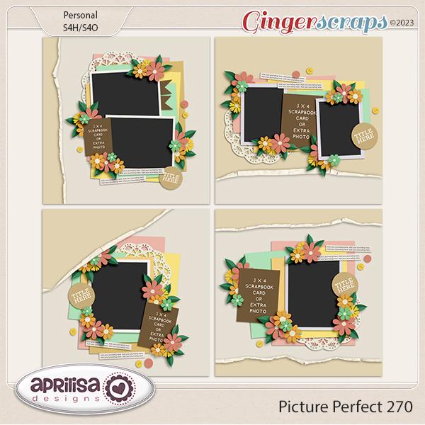 Picture Perfect 270 by Aprilisa Designs