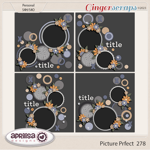 Picture Perfect 278 by Aprilisa Designs