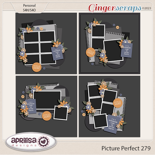 Picture Perfect 279 by Aprilisa Designs