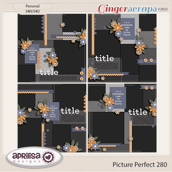 Picture Perfect 280 by Aprilisa Designs