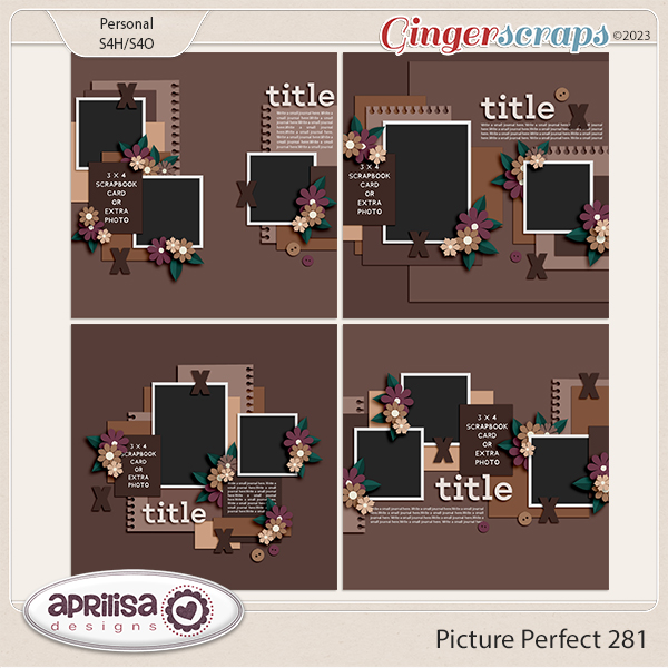 Picture Perfect 281 by Aprilisa Designs