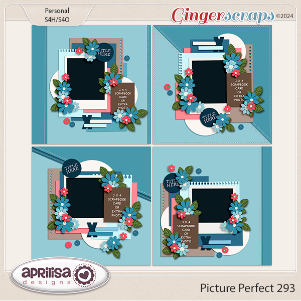 Picture Perfect 293 by Aprilisa Designs