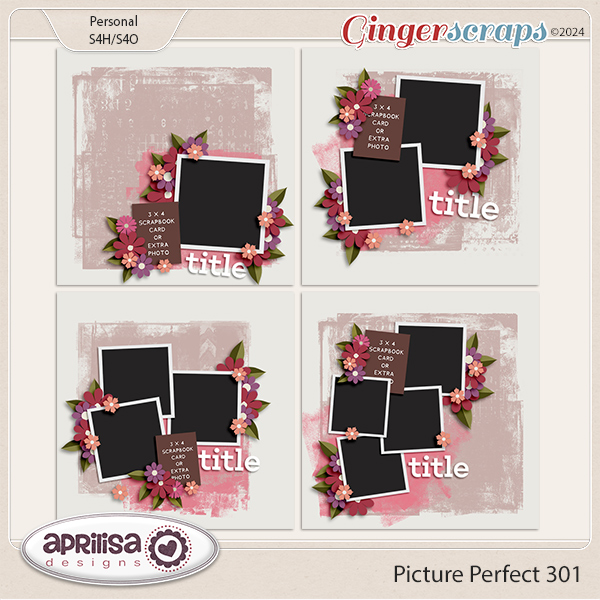 Picture Perfect 301 by Aprilisa Designs