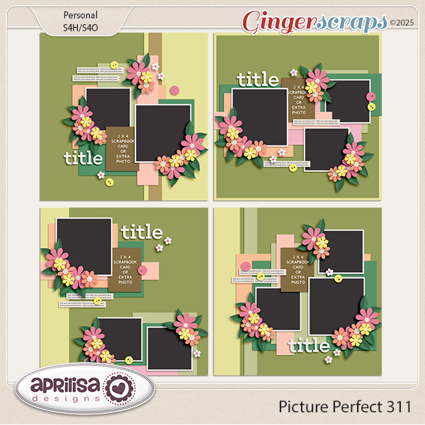 Picture Perfect 311 by Aprilisa Designs