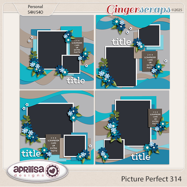 Picture Perfect 314 by Aprilisa Designs