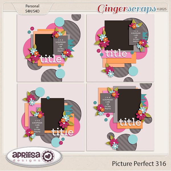 Picture Perfect 316 by Aprilisa Designs