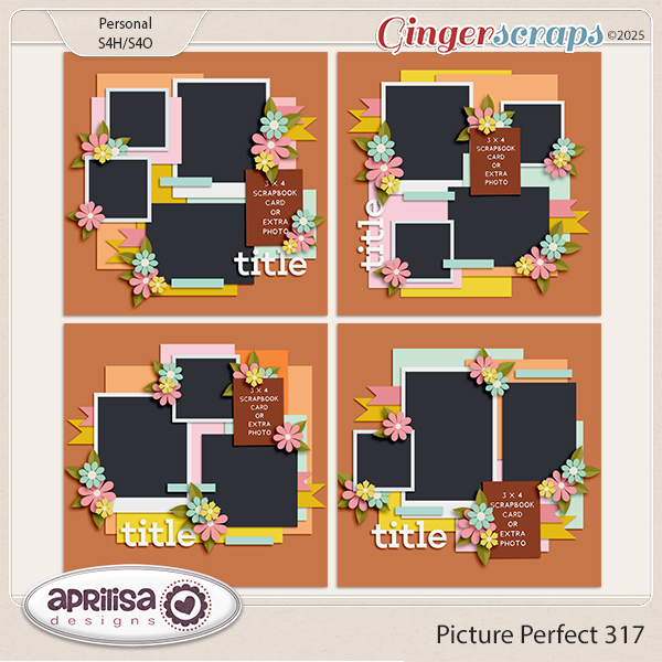 Picture Perfect 317 by Aprilisa Designs
