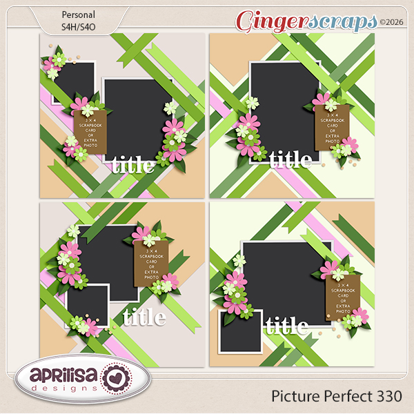 Picture Perfect 330 by Aprilisa Designs