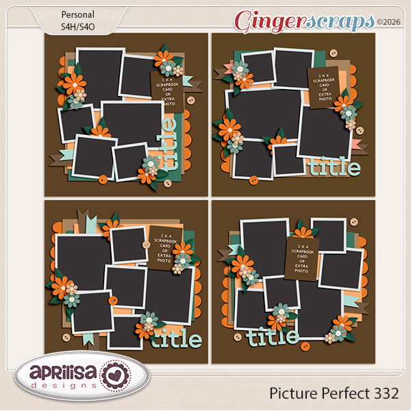 Picture Perfect 332 by Aprilisa Designs