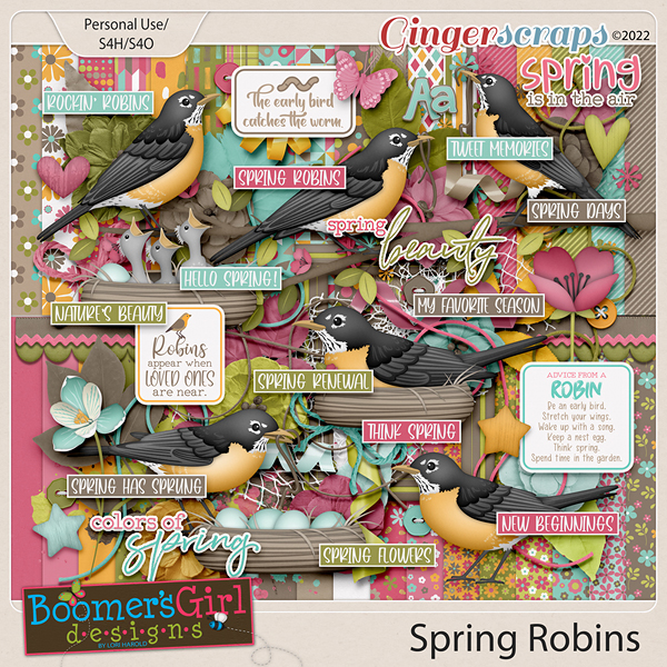 Spring Robins by BoomersGirl Designs