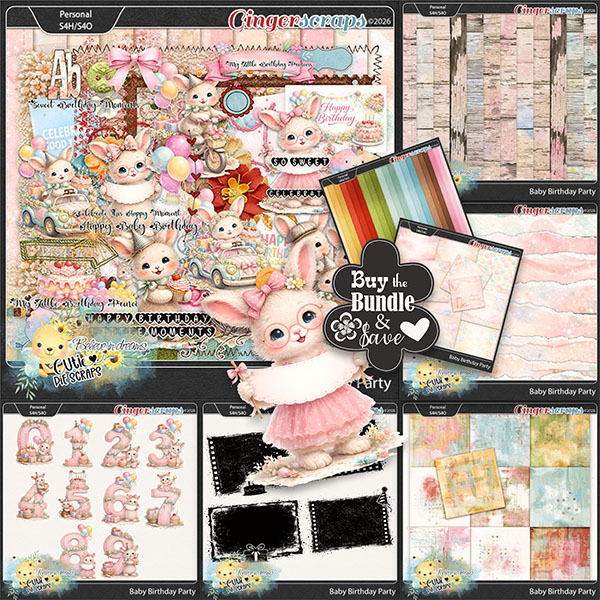Baby Birthday Party Bundle
