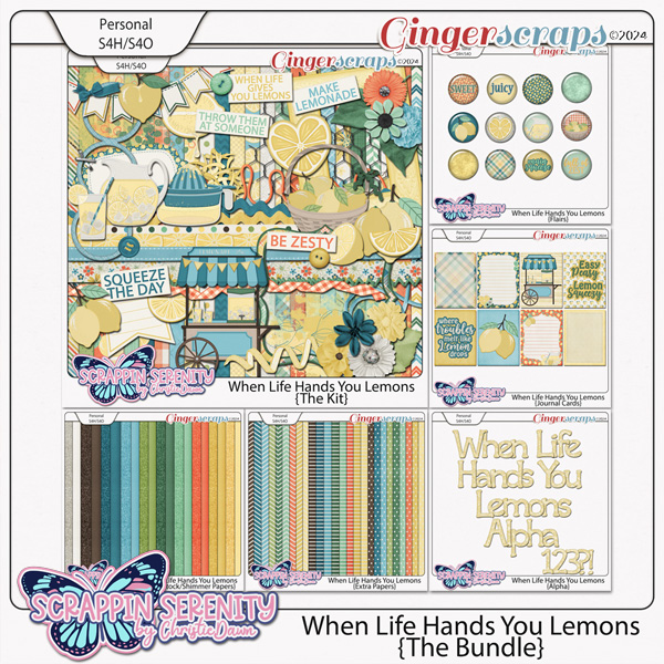 When Life Hands You Lemons {The Bundle}