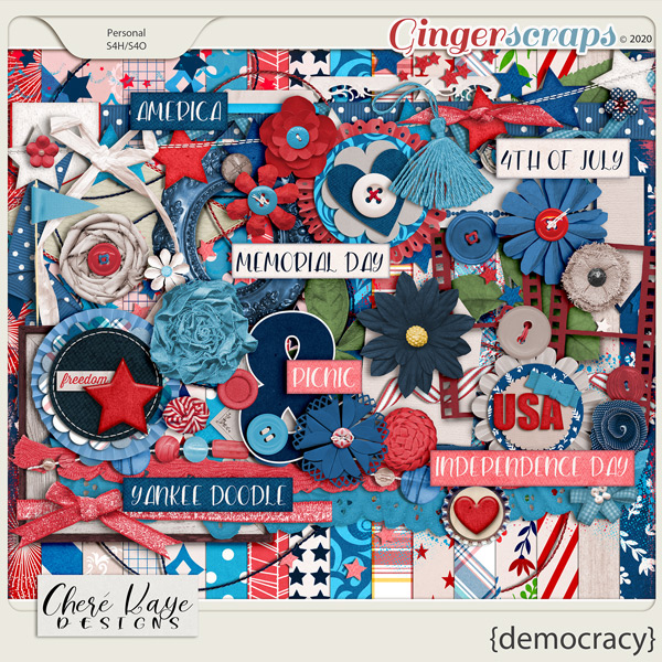 Democracy by Chere Kaye Designs