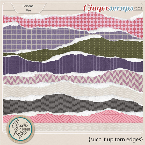 Succ It Up Torn Edges by Chere Kaye Designs