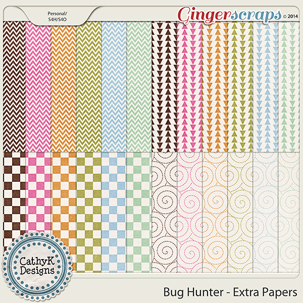 Bug Hunter - Extra Papers