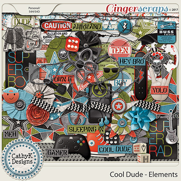 Cool Dude - Elements