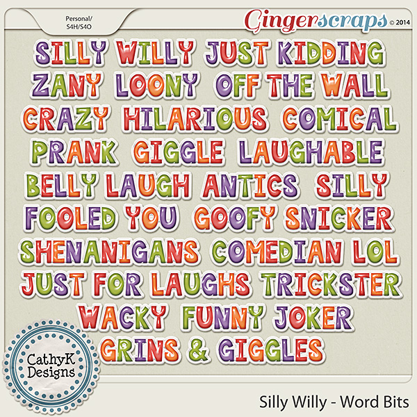 Silly Willy - Word Bits