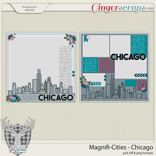MagnifiCities: Chicago by Dear Friends Designs by Trina