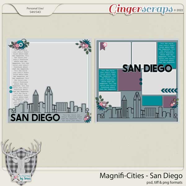 MagnifiCities: San Diego by Dear Friends Designs by Trina