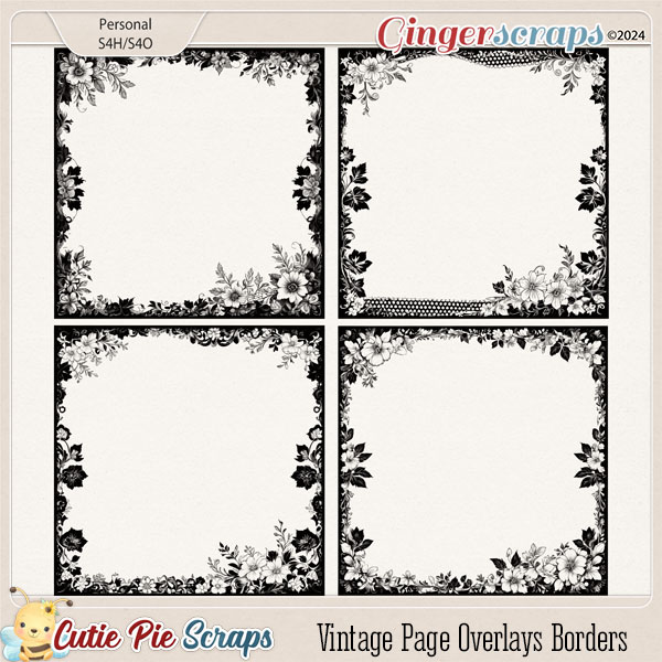 Vintage Page Overlays Borders 21