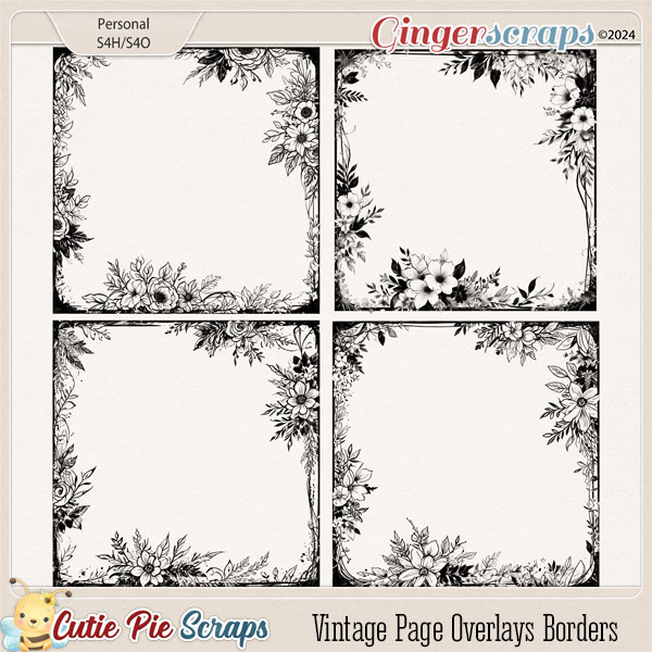 Vintage Page Overlays Borders 22
