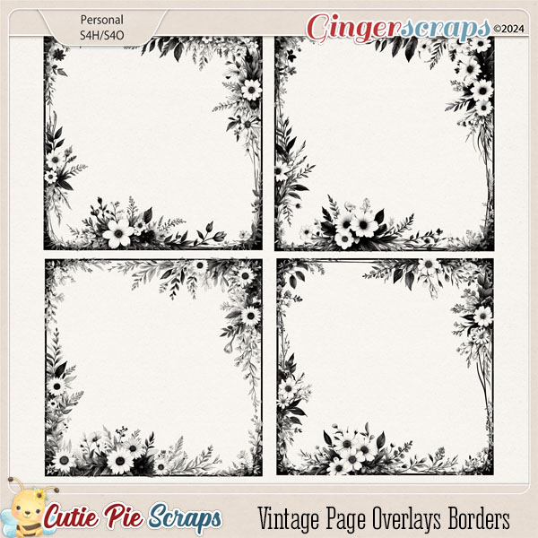 Vintage Page Overlays Borders 23