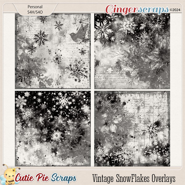 Vintage SnowFlakes Overlays-01