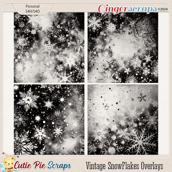 Vintage SnowFlakes Overlays-03