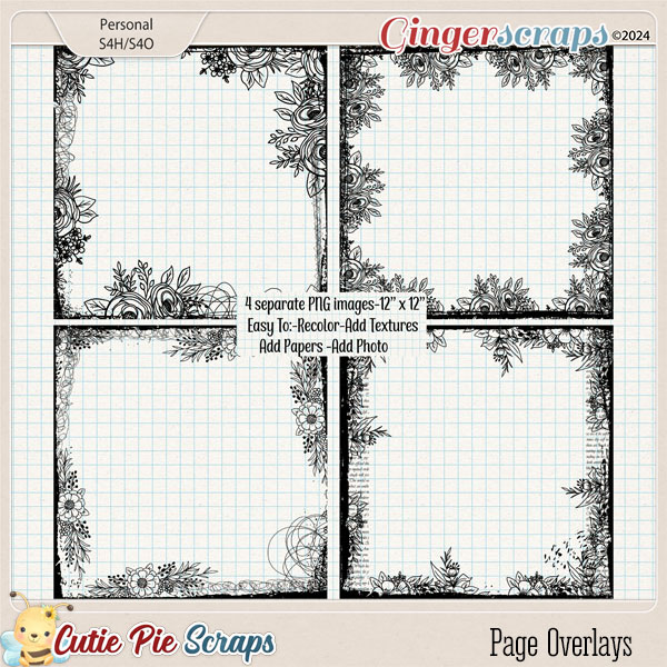 Vintage Page overlays Borders-01