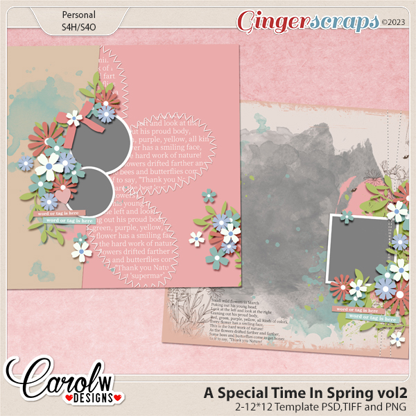 A Special Time In Spring-Template#2