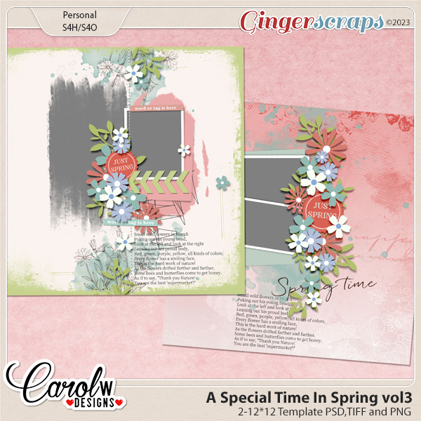 A Special Time In Spring-Template#3