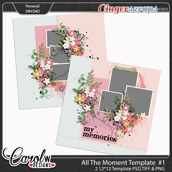 All The Moment-Template vol 1
