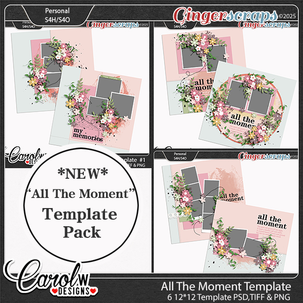 All The Moment-Template Bundle